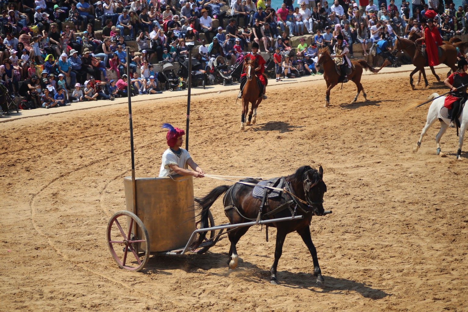 A dark horse pulling a costumed charioteer across a sandy arena, with riders and a crowded stand behind
